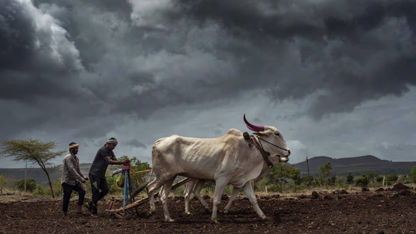 IMD alerts 39 Maharashtra districts amid 17% deficit this year