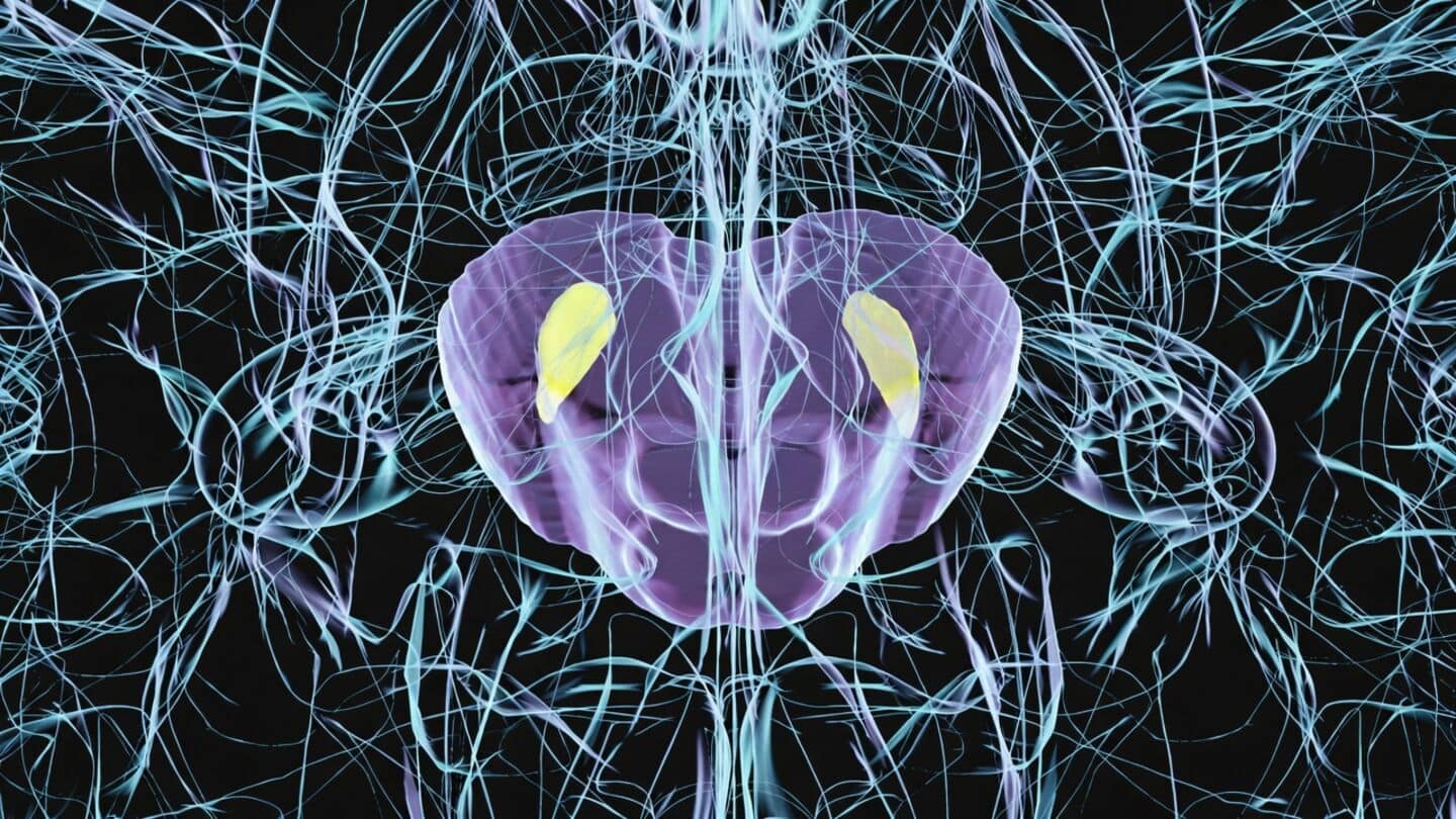 Texas A&M study links viral infection to Parkinson's-related brain changes