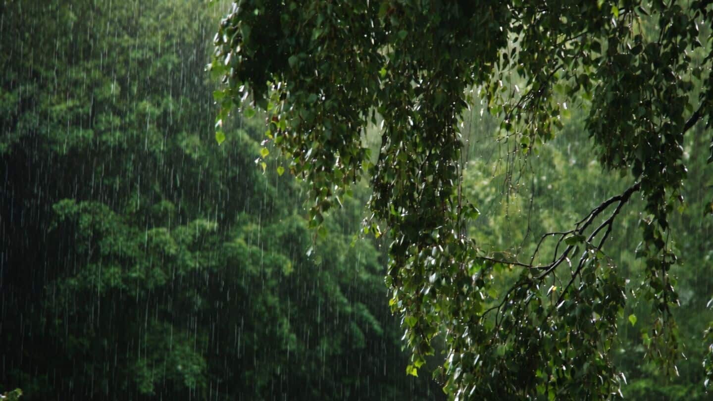 Skymet's GP Sharma says India's August rainfall 10% below normal