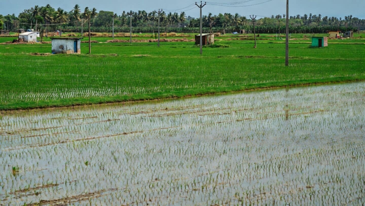 Tamil Nadu records 330 tmc ft Cauvery surplus, monsoon worries