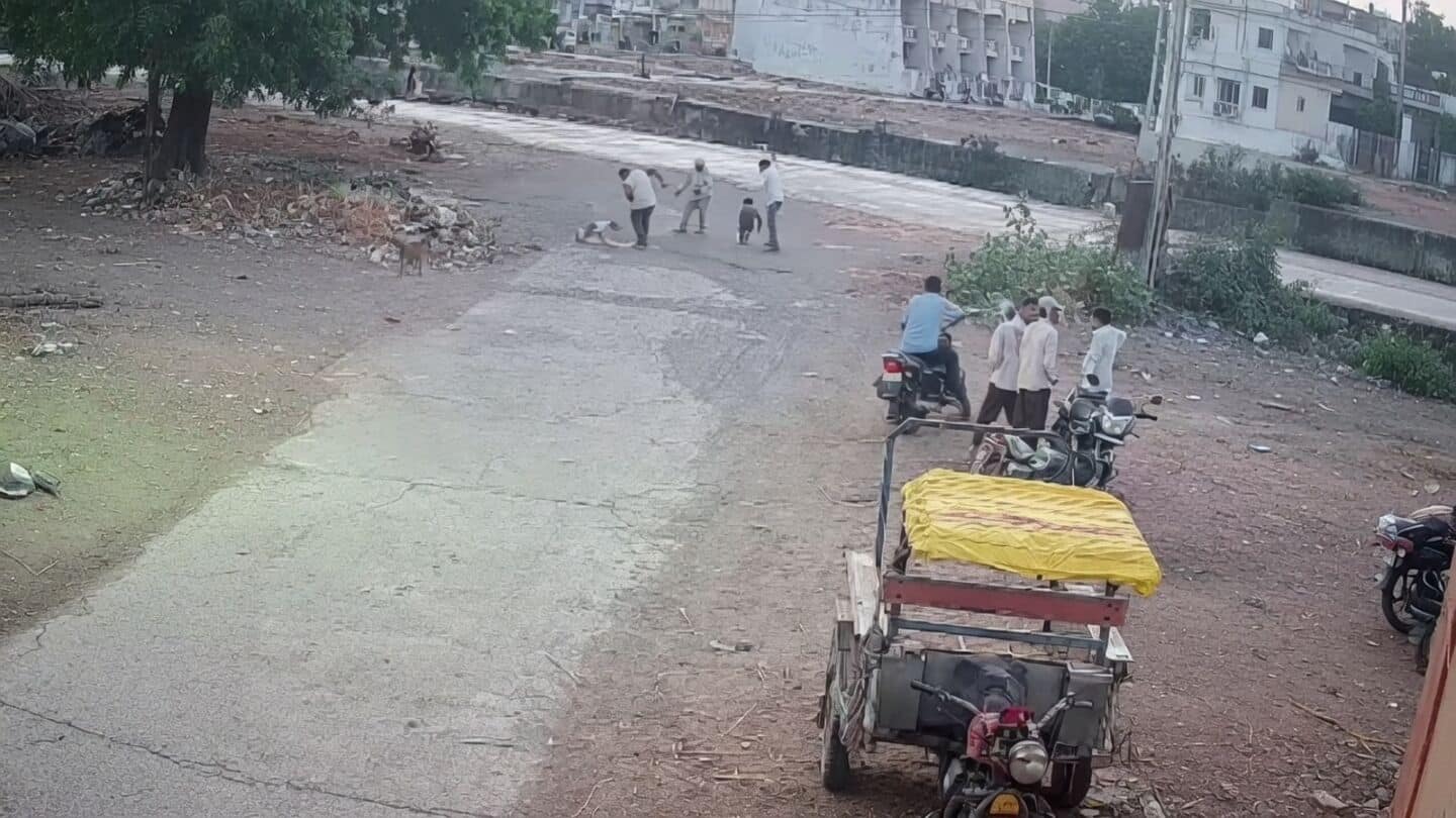 CCTV captures stray dog biting 4 in Gujarat's Devbhumi Dwarka