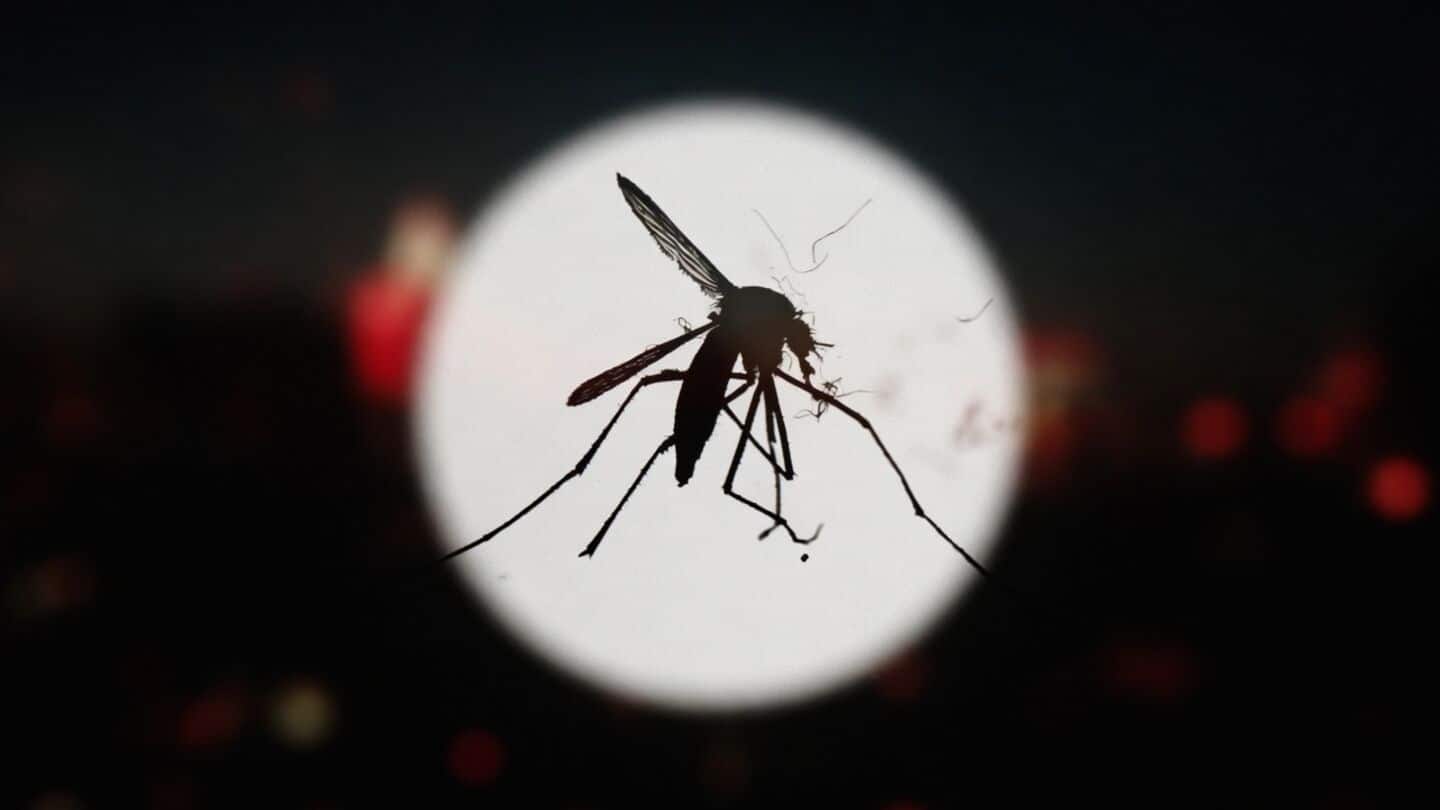 West Bengal dengue outbreak reports 4,035 cases and 7 deaths