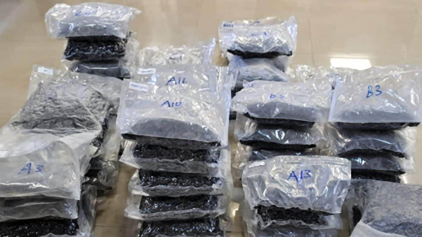 Delhi Police arrest 19 in West Delhi 96-hour drug bust