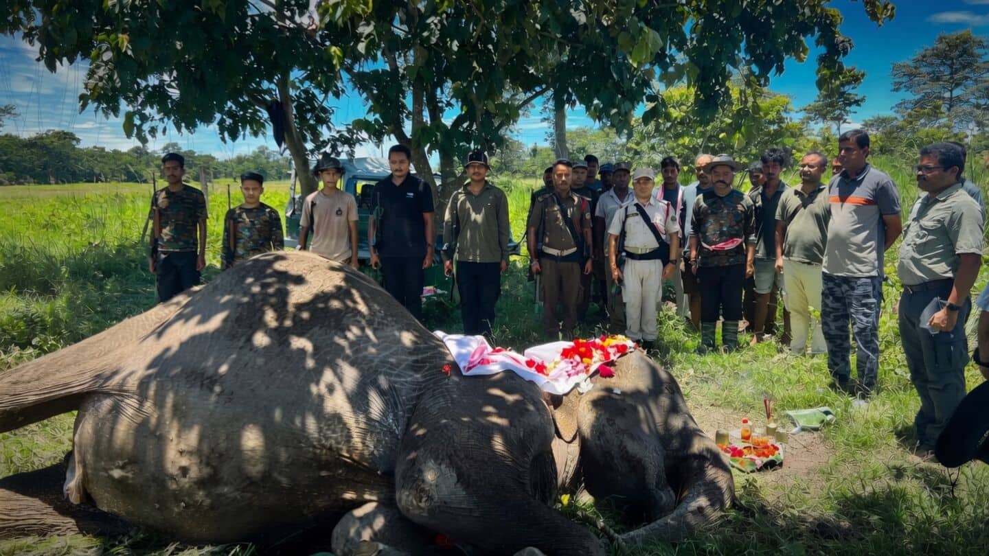 Kaziranga National Park honors 66-year-old patrol elephant Joymala after death