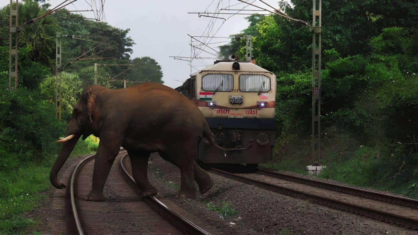 AI system near Coimbatore helped prevent 9,481 train-elephant collisions