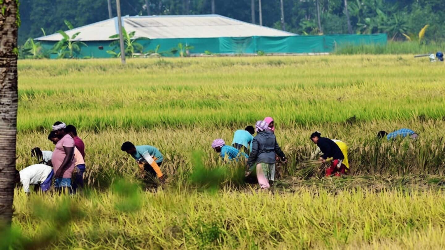 Telangana Civil Supplies launches SHT to procure 65L tons paddy