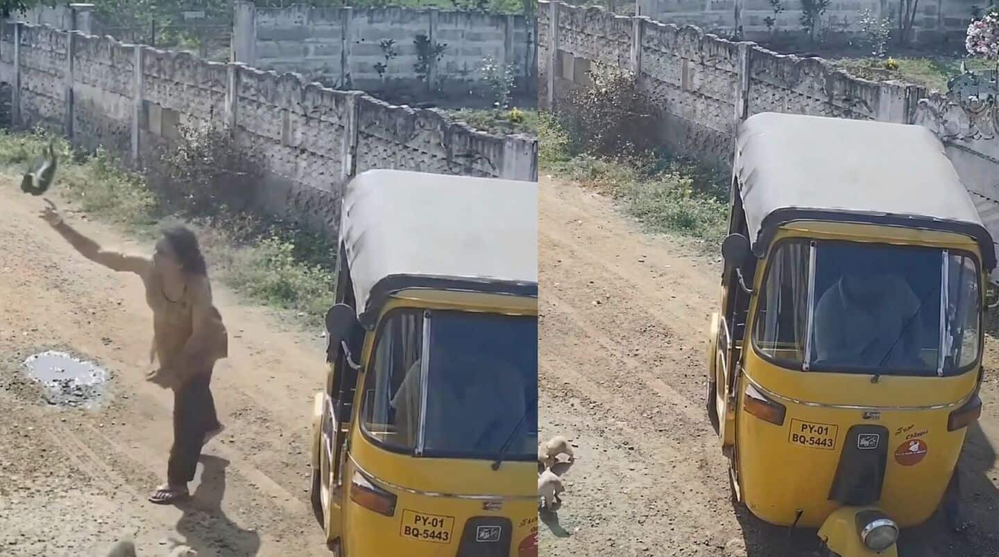 Woman arrested for killing puppy after argument with neighbor