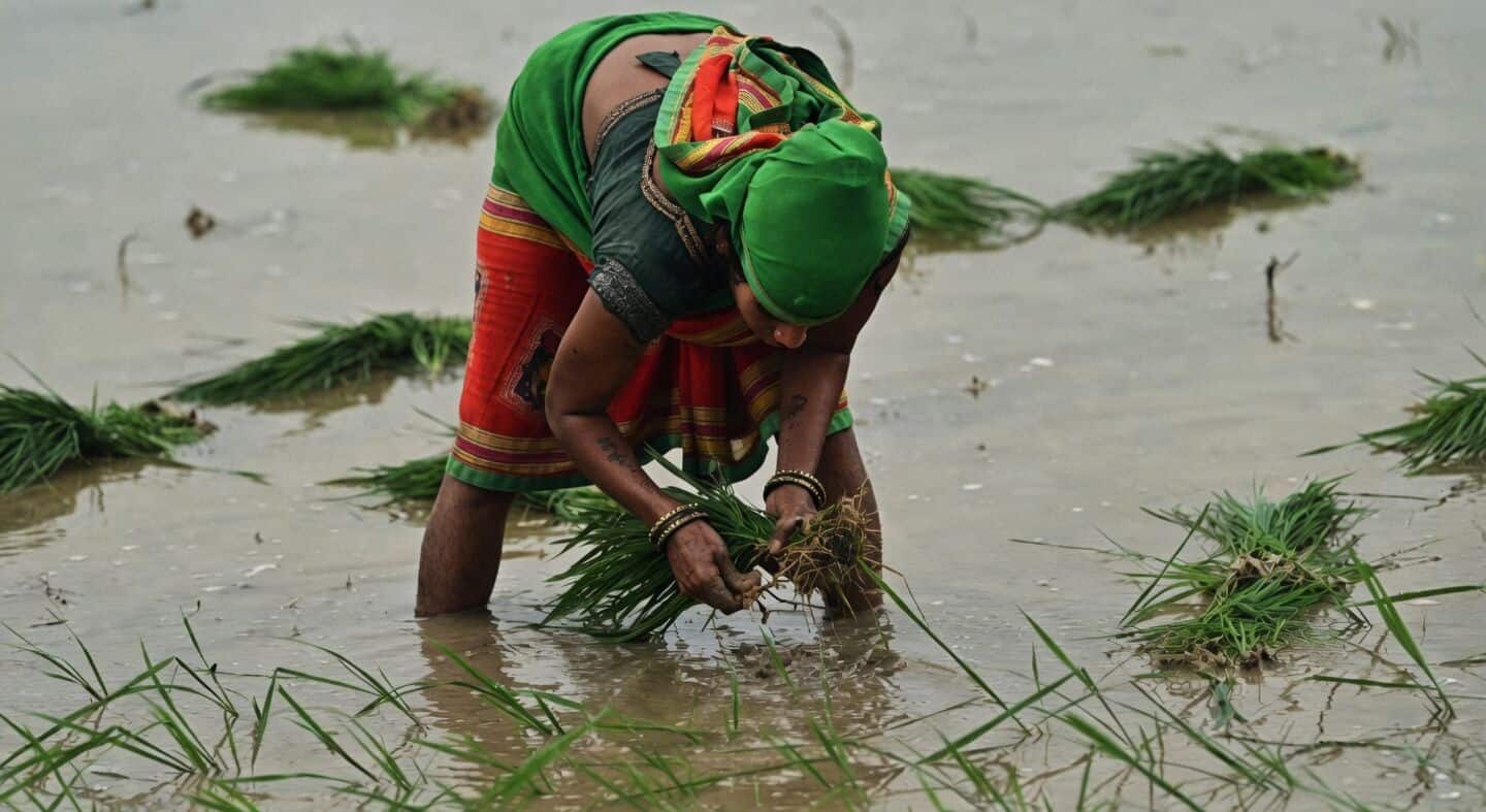 Monsoon to return to Uttar Pradesh from Friday July 17