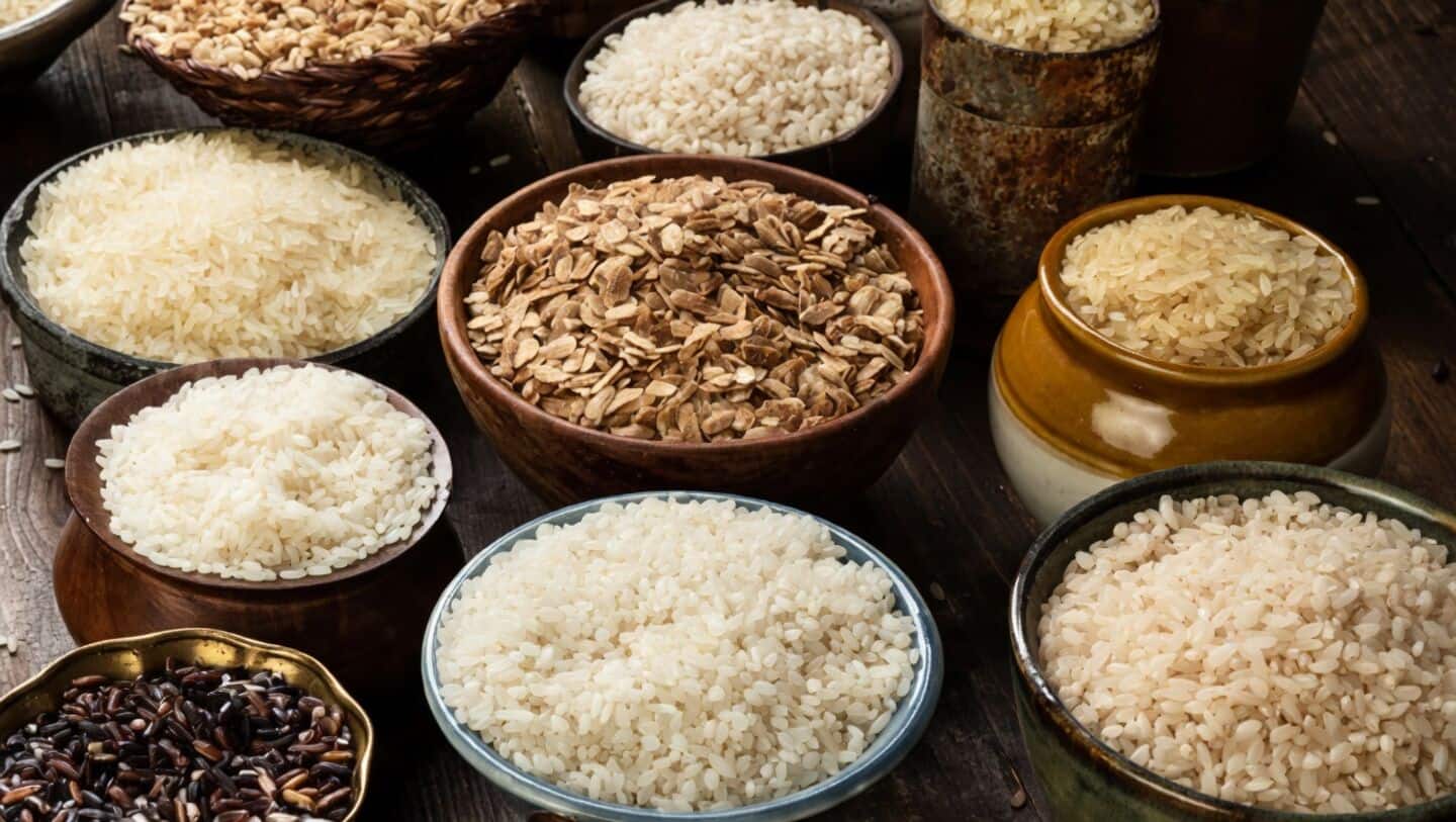 Narendra Modi gifts Indian grains to FAO director-general in Italy