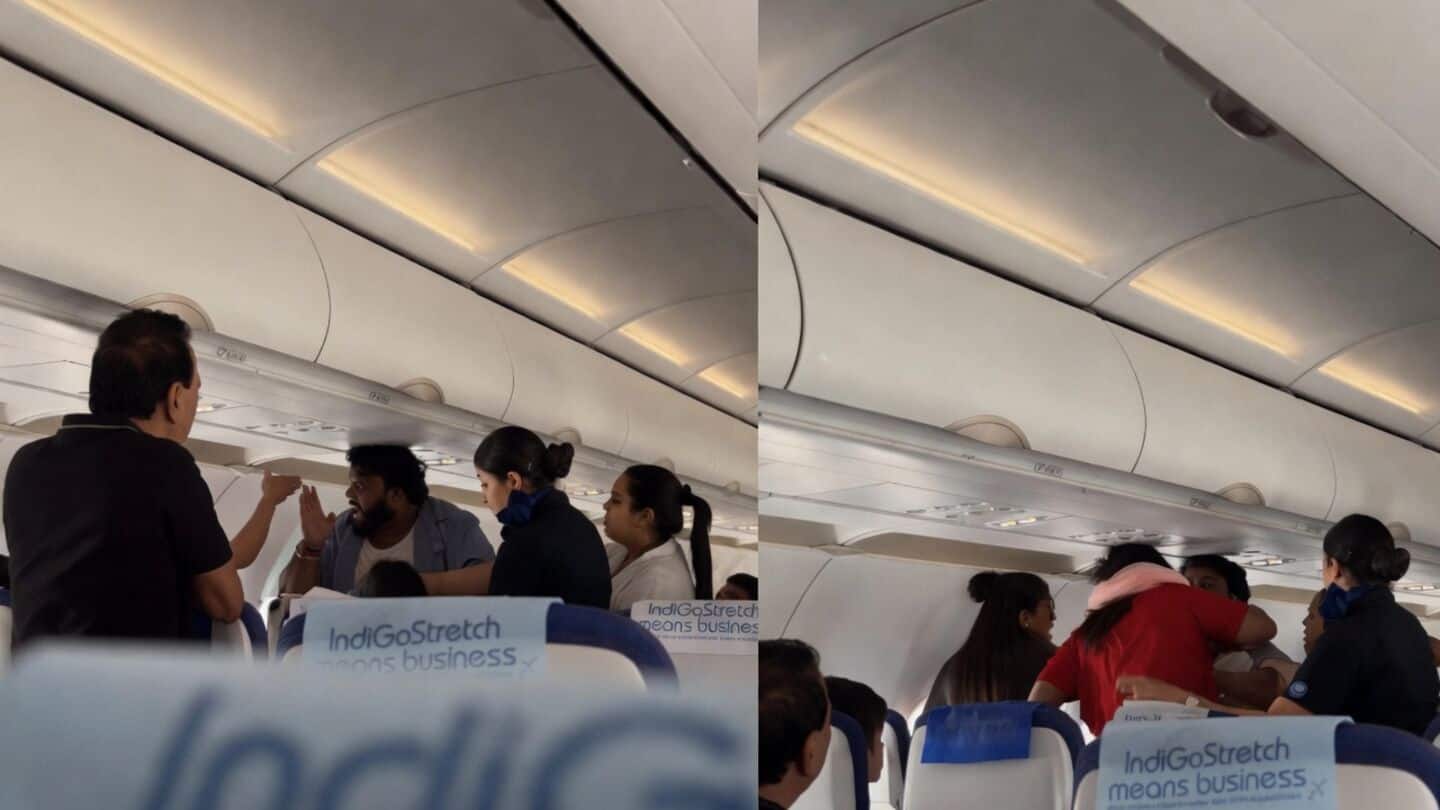 इंडिगो फ्लाइट में यात्रियों की मारपीट का वीडियो वायरल, आजीवन प्रतिबंध की उठी मांग