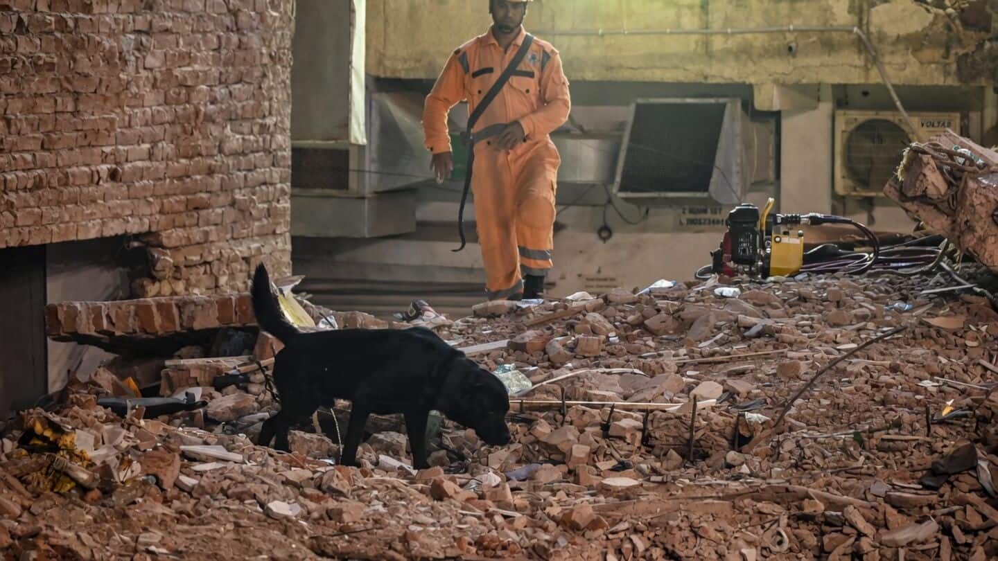 Delhi's Satya Niketan hostel collapse kills 2, spotlights DU housing