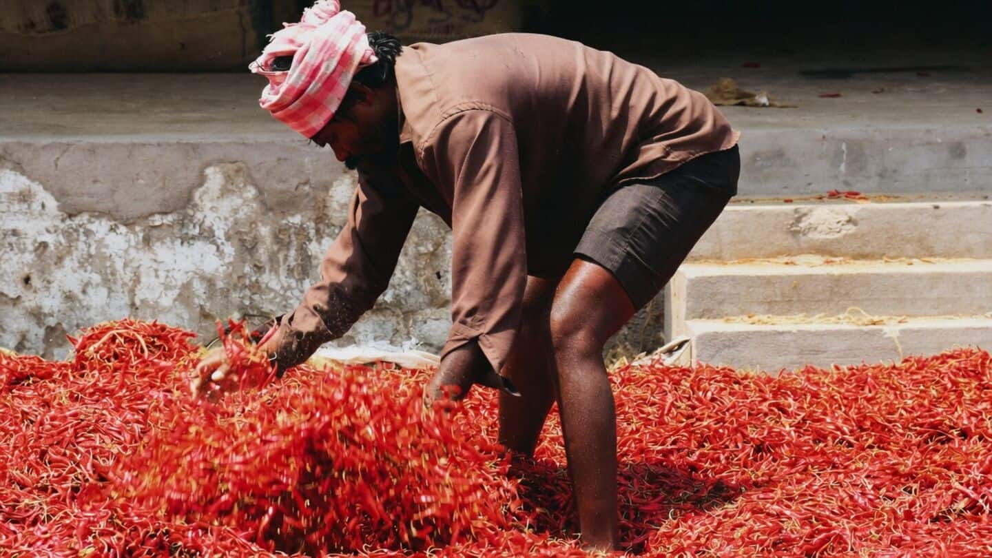 China rejects Indian chiles for methamidophos, Andhra Pradesh farmers anxious