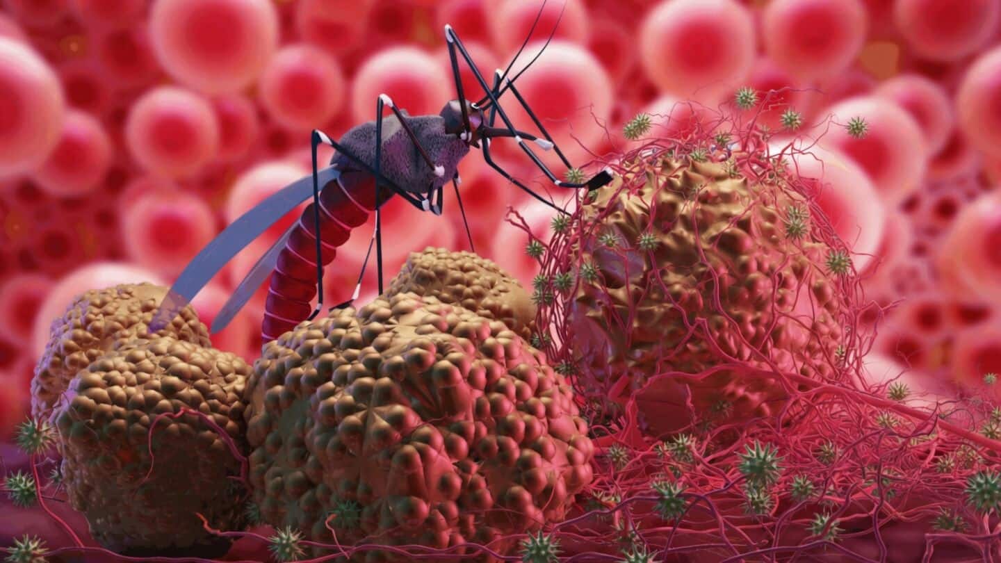 Zika spreads by mosquitoes and through sex, often asymptomatic