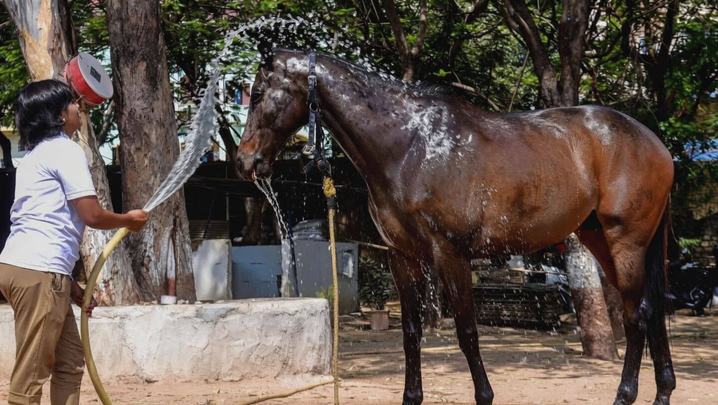 Telangana, Andhra Pradesh under severe heatwave with red alerts