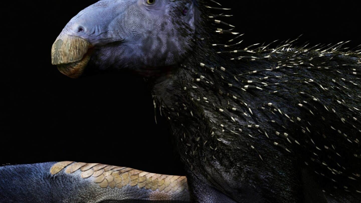 New Chinese dinosaur Haolong dongi preserves skin cells, hollow spikes