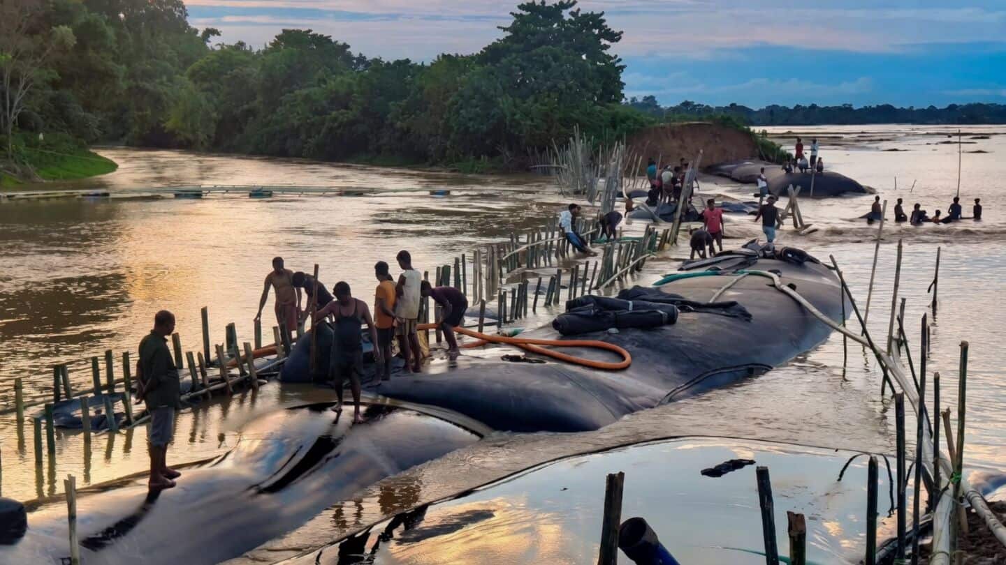 Assam floods: 103 dead, 86,800 affected in 4 districts