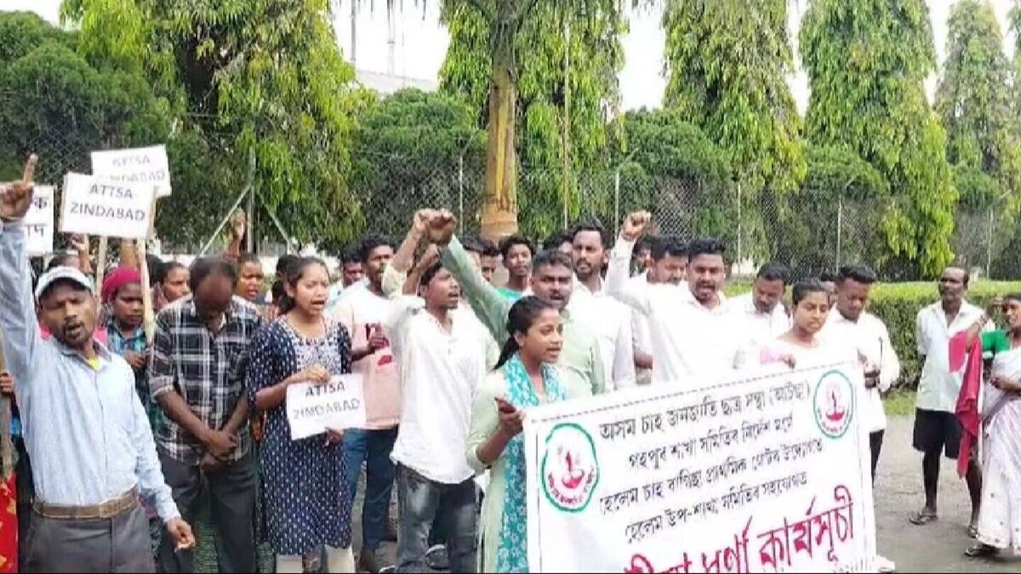 Tea tribe protests in Assam, halts work at tea estates