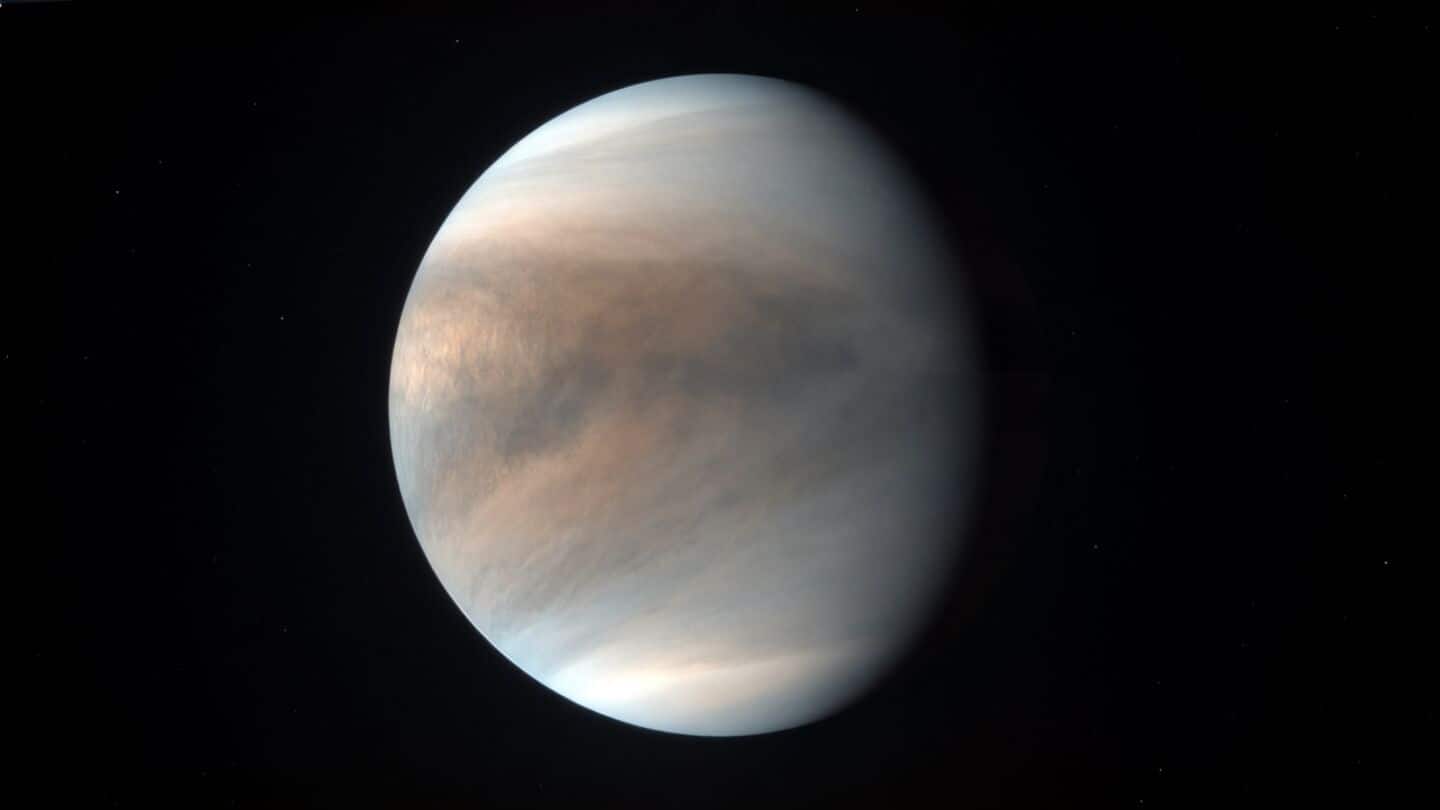 Rocket Lab and MIT delay Venus probe until Neutron ready