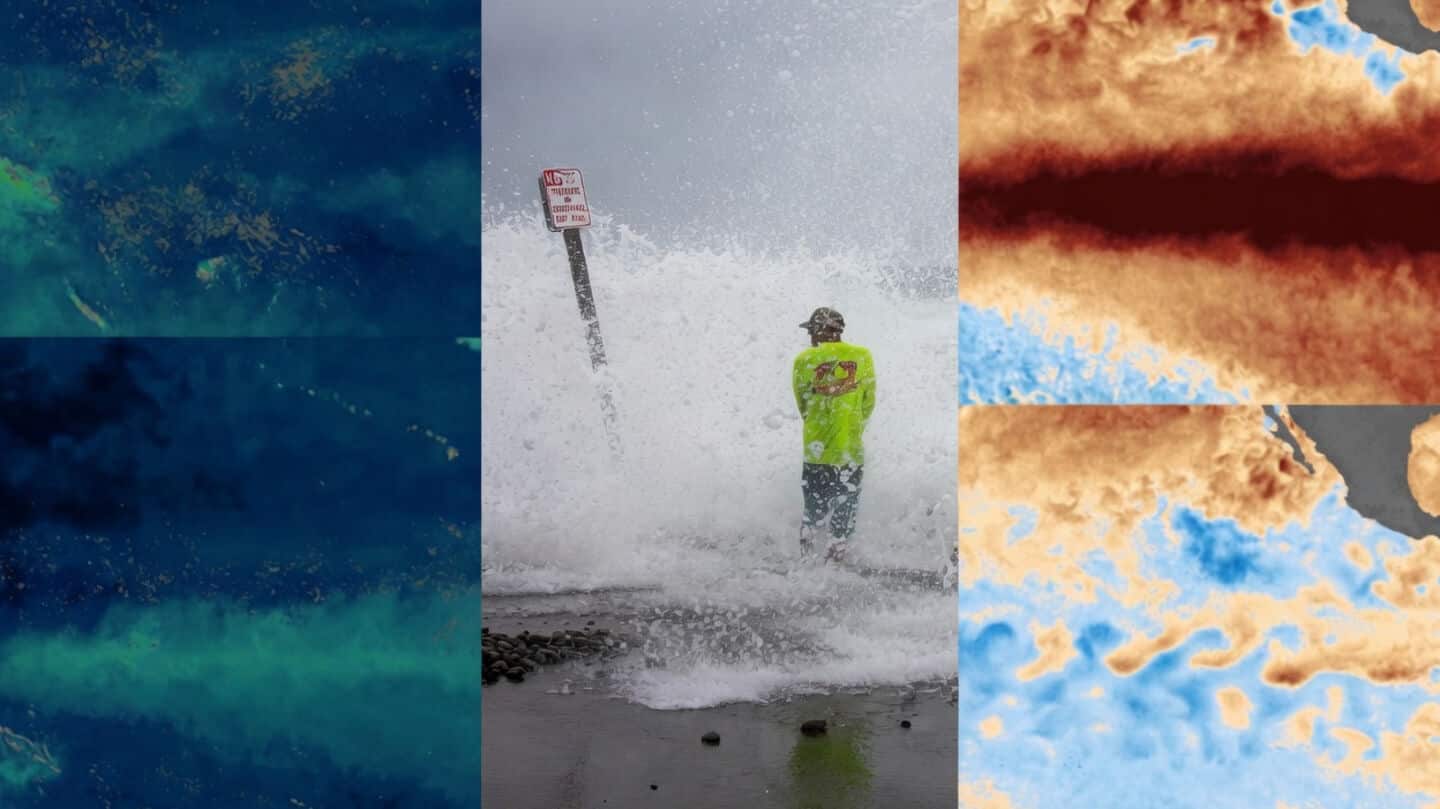 NASA finds equatorial Pacific cerulean as El Nino reduces phytoplankton