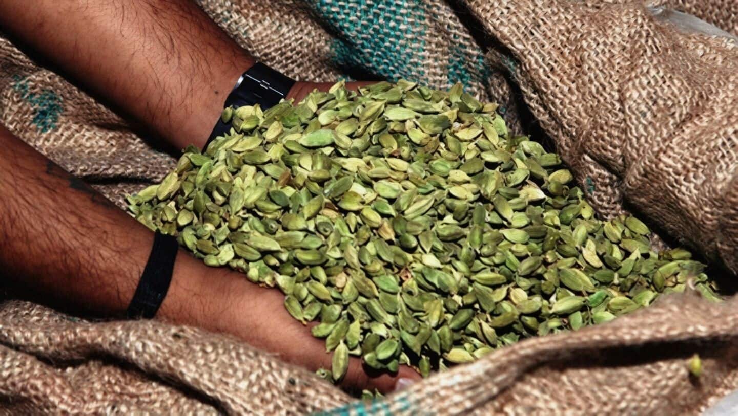 Indian cardamom exports double as Guatemala harvest almost halves