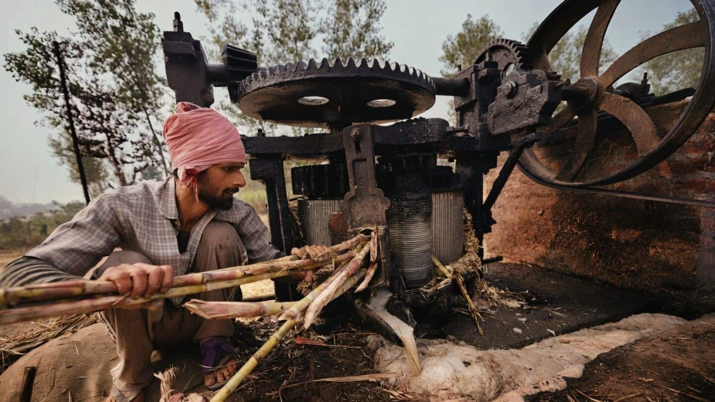 India's jaggery rises 10% to ₹67 as sugar rises 15%