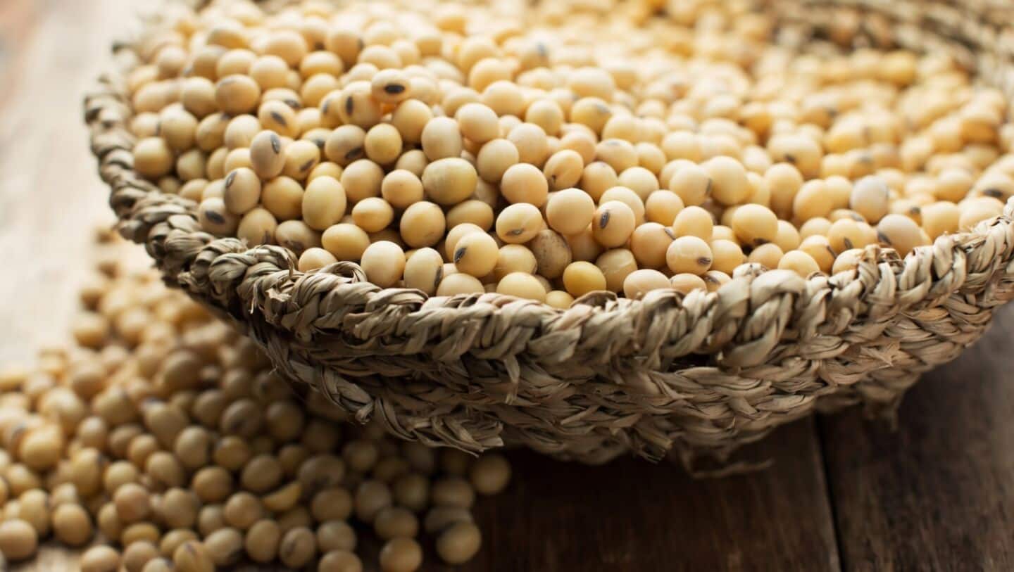 India's March soybean meal exports fall 63% to 60,000 tons