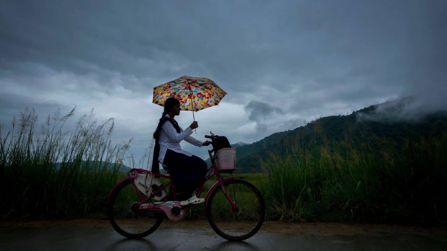 Monsoon returns to northwest India July 28, aiding paddy farmers