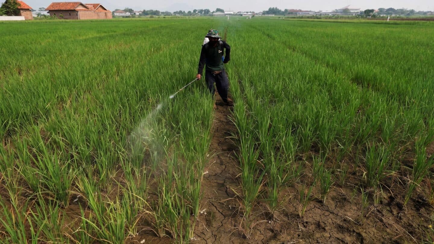 Adani Group launches Harit Amrit, fertilizer sales more than doubled