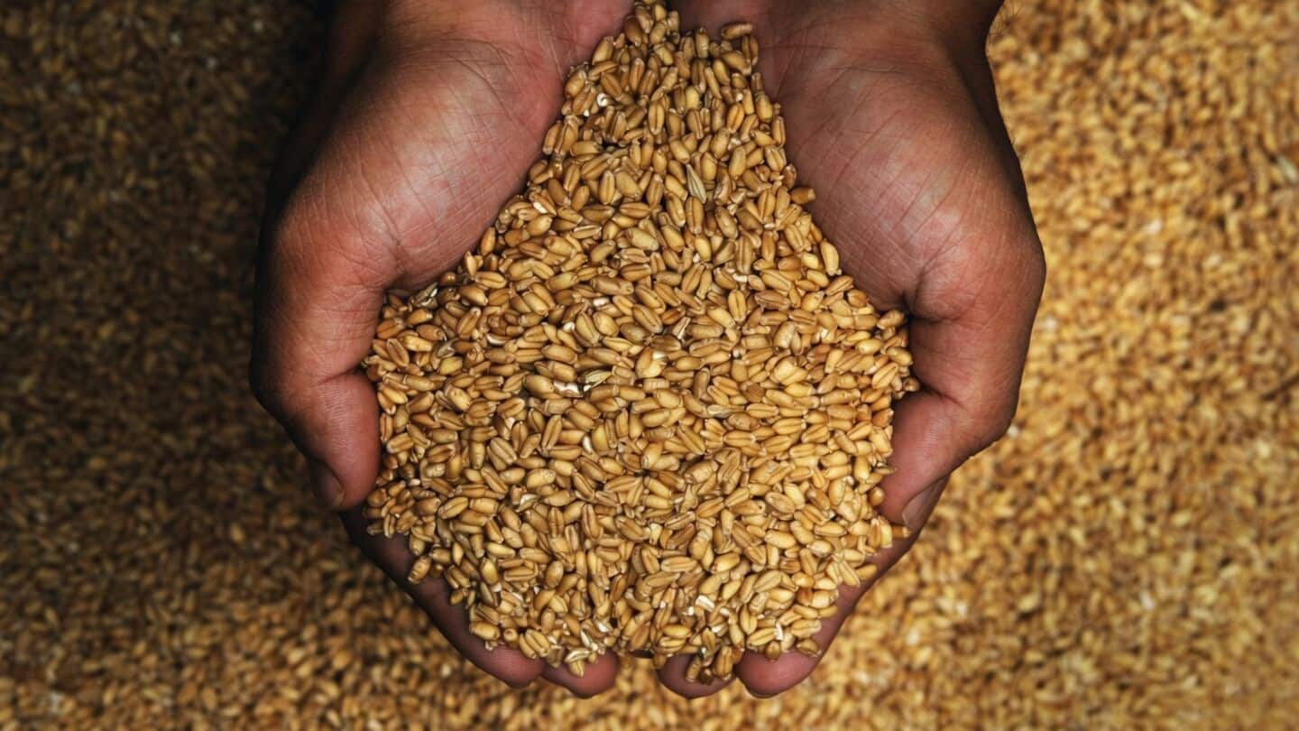 Kerala revises NFSA wheat distribution after flour spoilage concerns