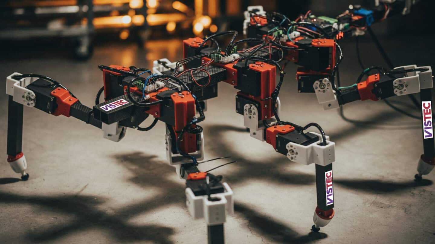 Japanese, Thai scientists train 6-legged robot using single stick insect