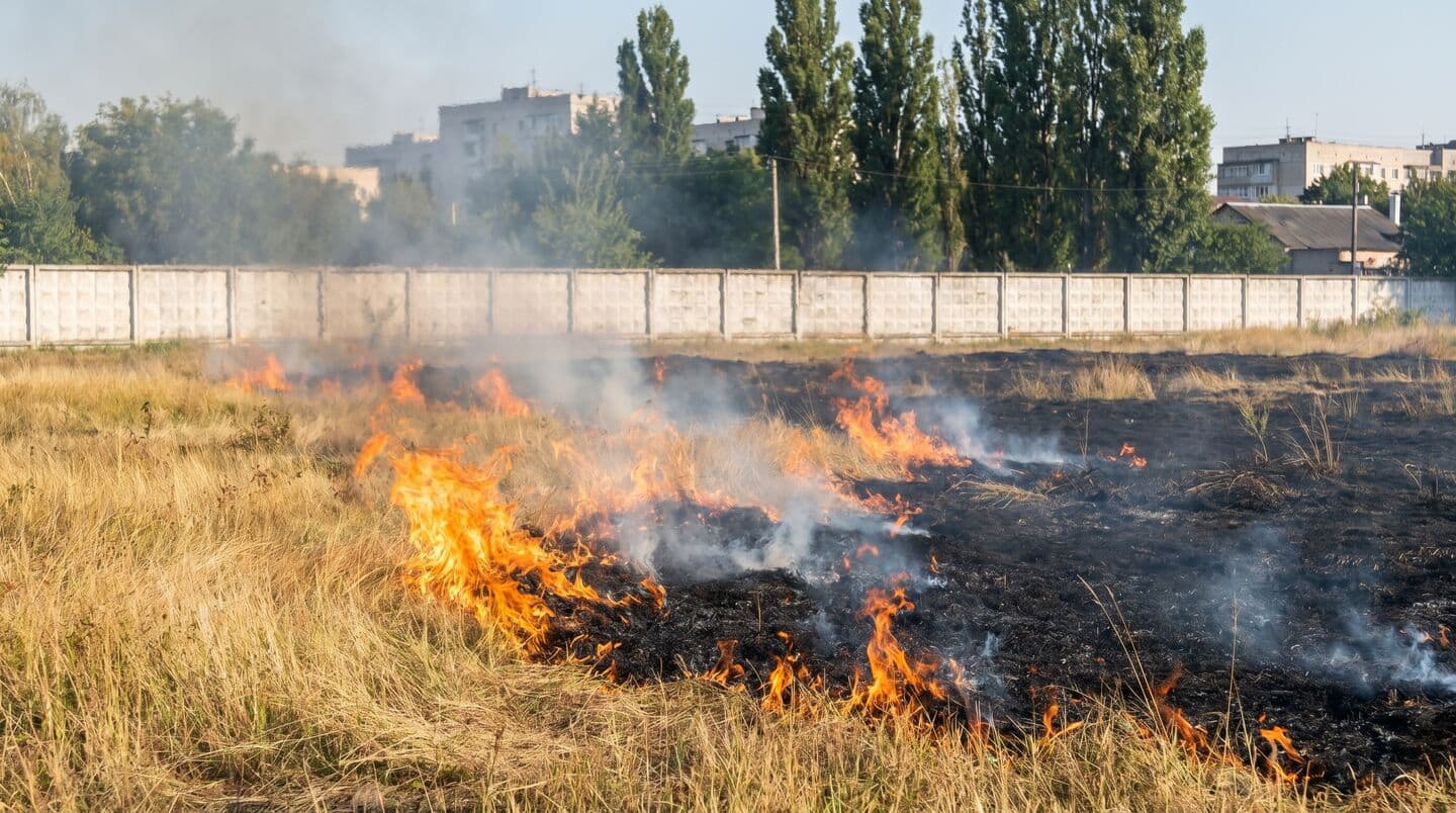Punjab farm fires spike to over 2,400 amid stubble burning