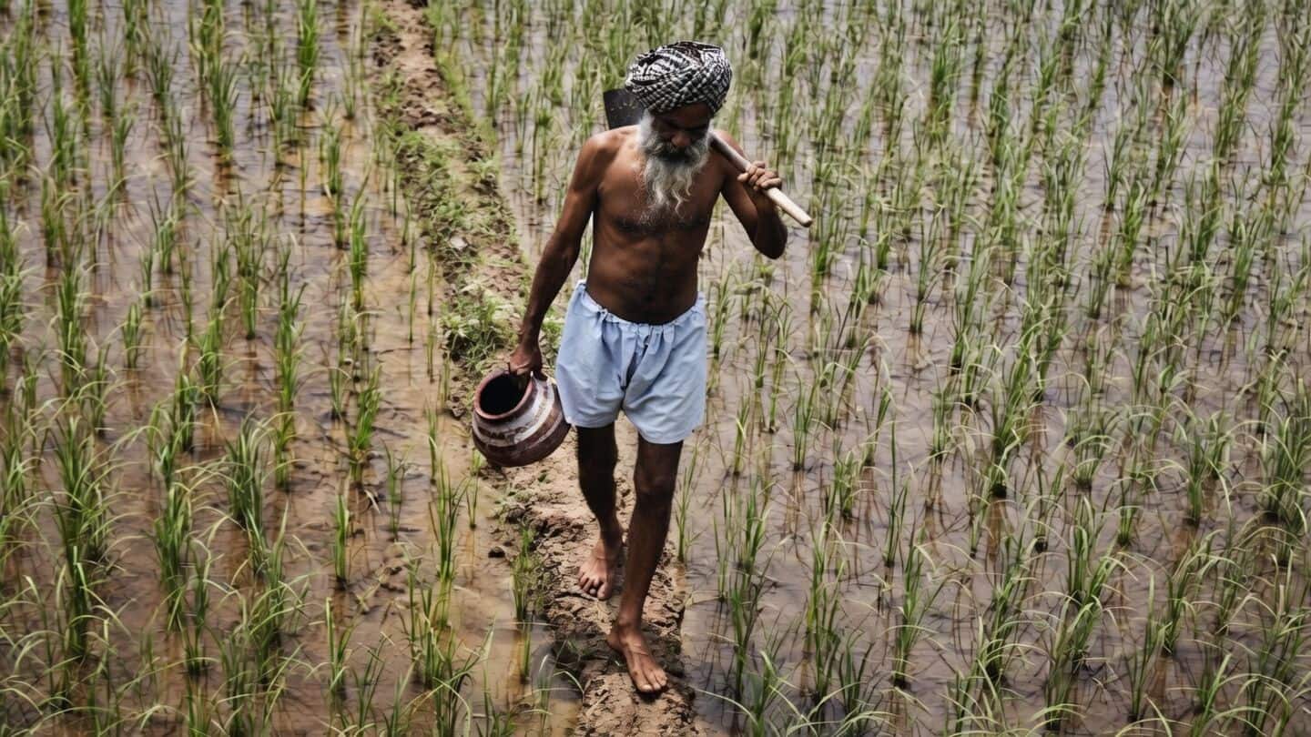 Maharashtra is considering farm loan waiver expansion to 5.75L farmers