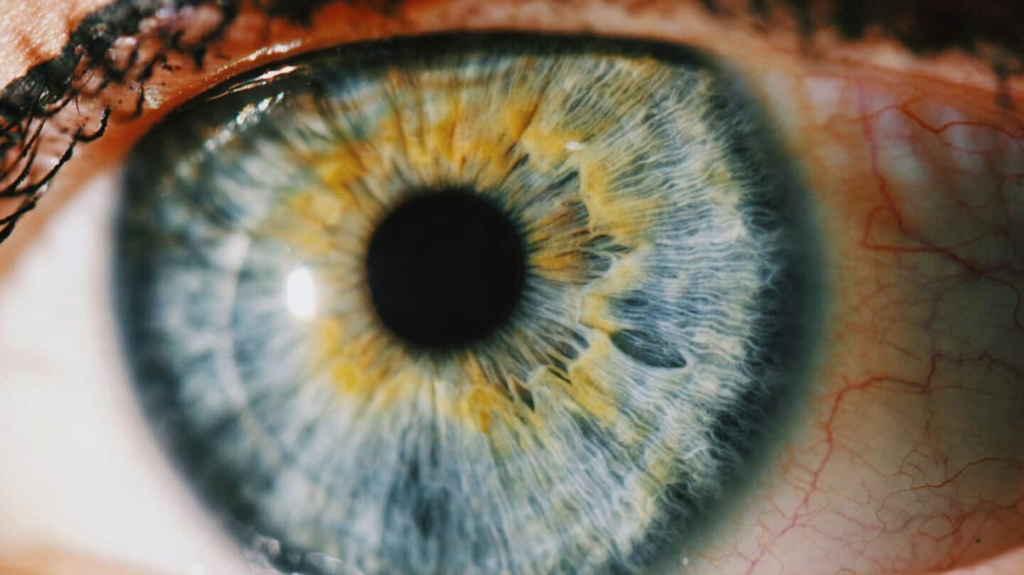 UK study of 82,000 links evening light to eye disease