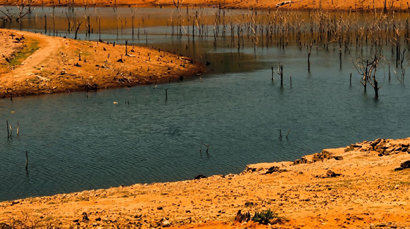 El Nino likely to weaken 2026 Indian monsoon and crops