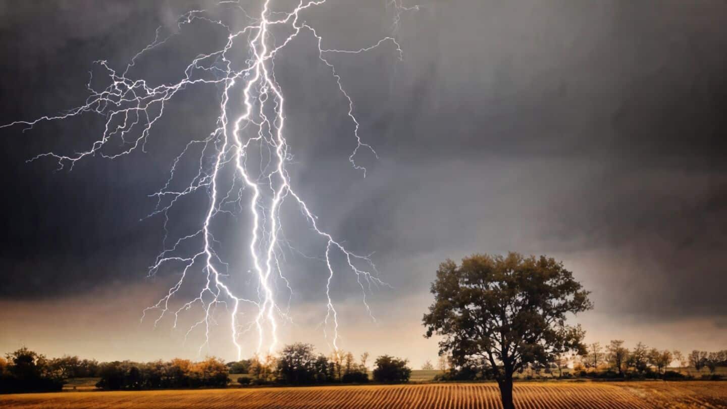 Jharkhand storms kill 11, including 3 women and a girl