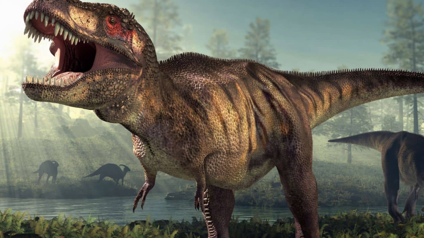 Believed 1st adult T. rex trackway found in North Dakota