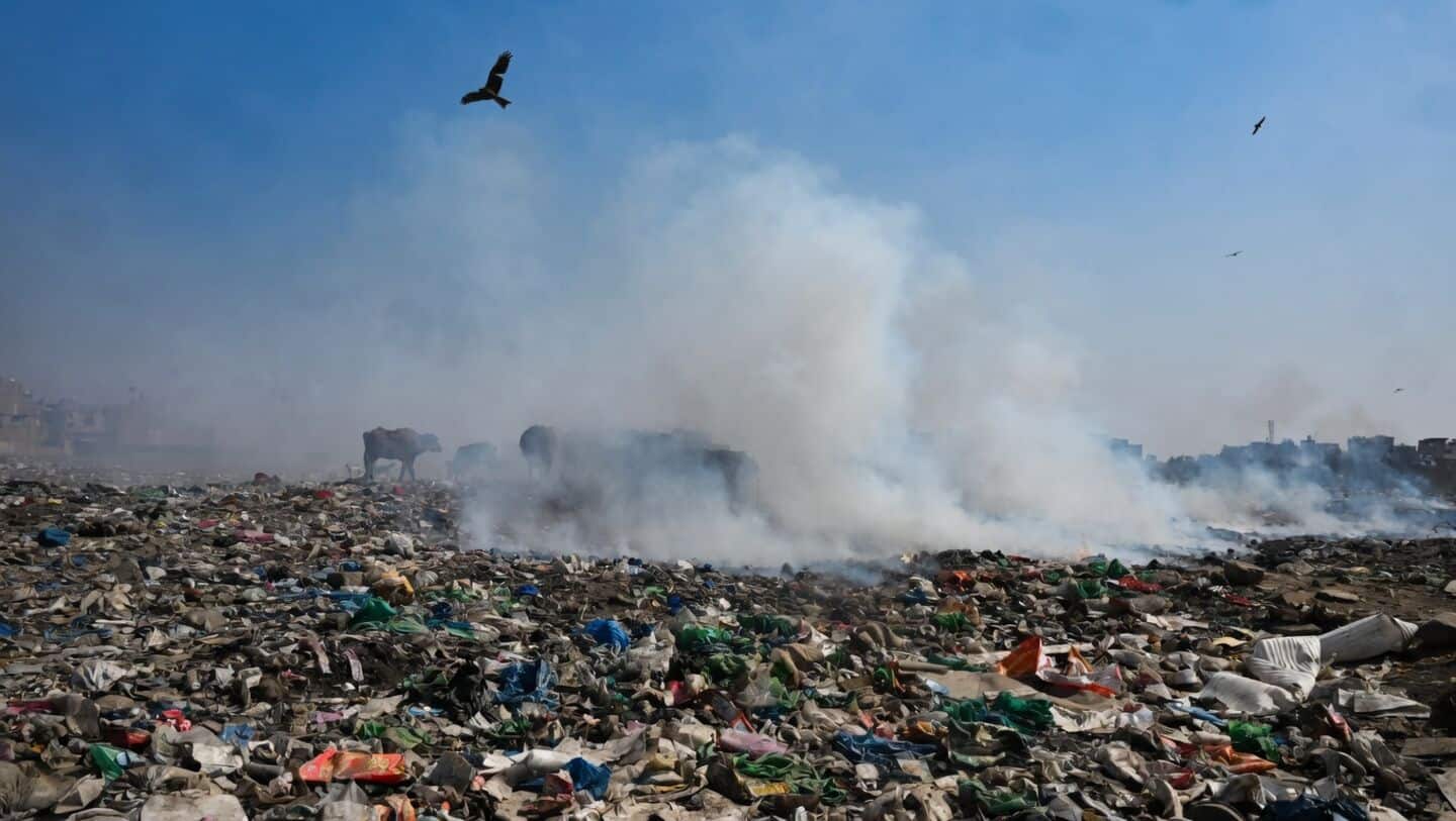 Air quality report: 204 Indian cities above national safe limit