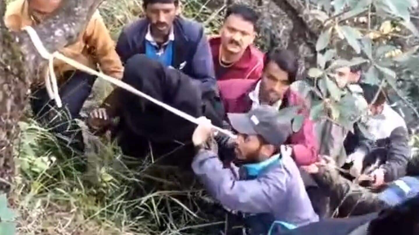 Uttarakhand woman seriously injured in bear attack