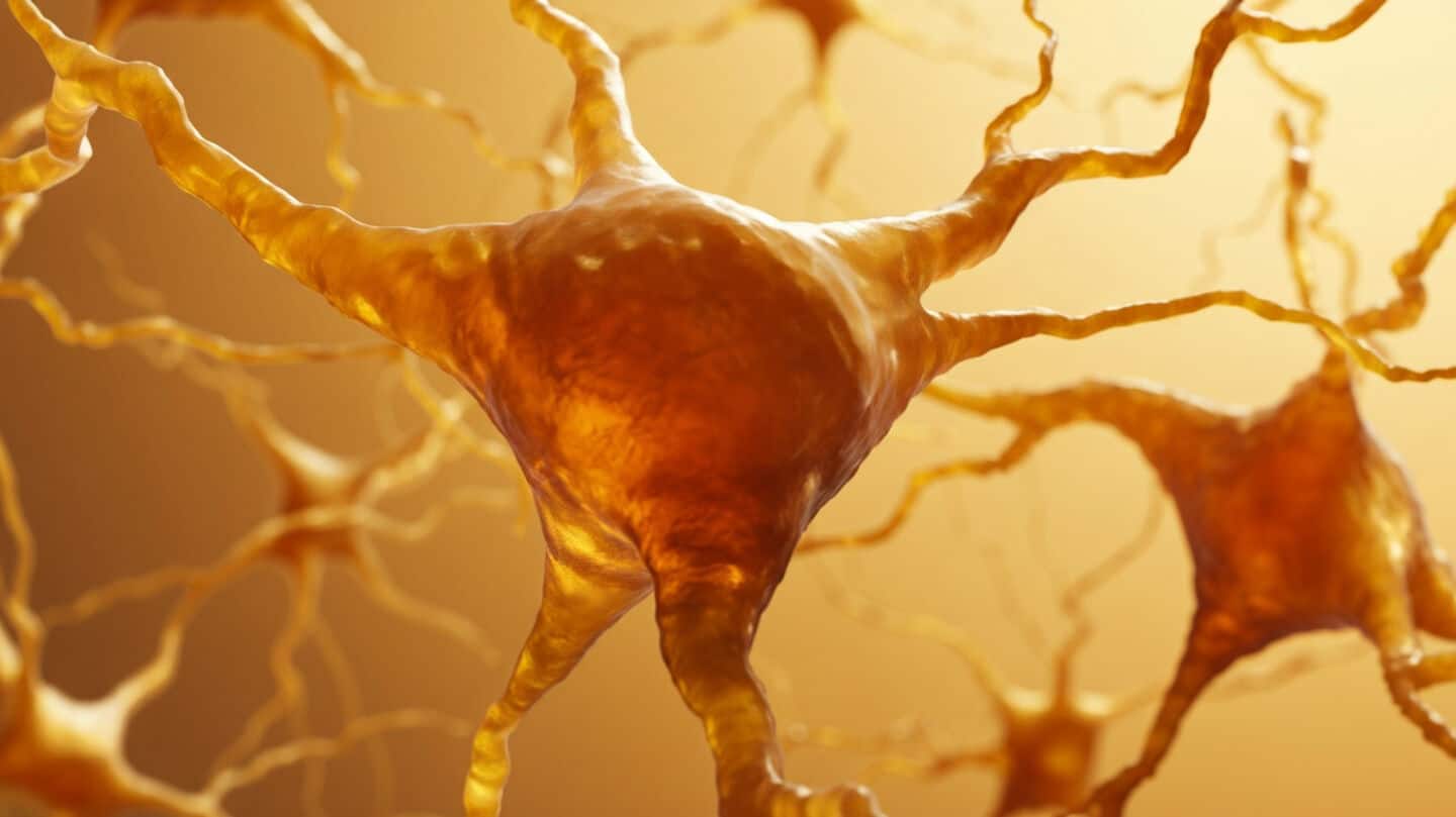 US researchers reverse memory loss in Alzheimer's mice with nano-eraser