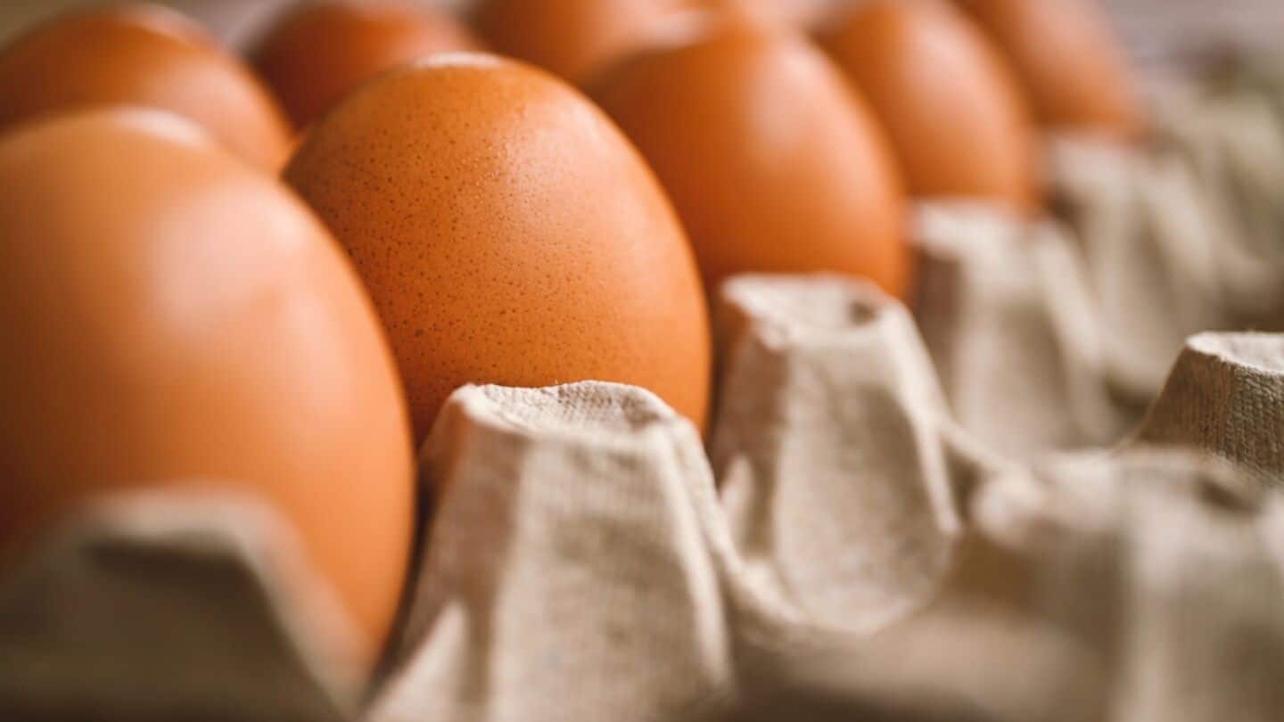 Maize price surge lifts Indian egg prices 35%-40% to ₹9