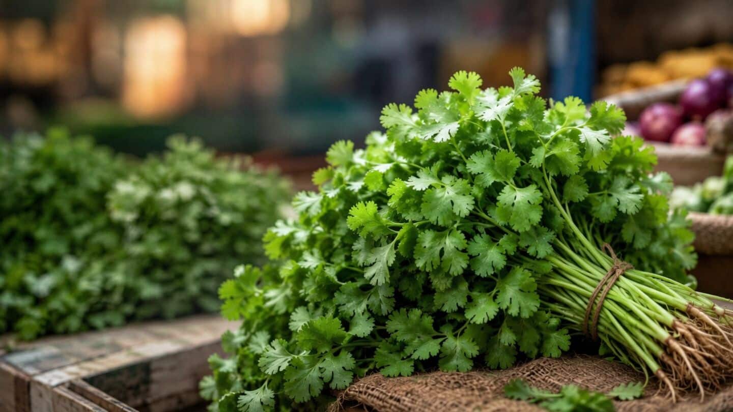 July rains damage Nashik coriander, Delhi prices ₹220-₹230 per kg