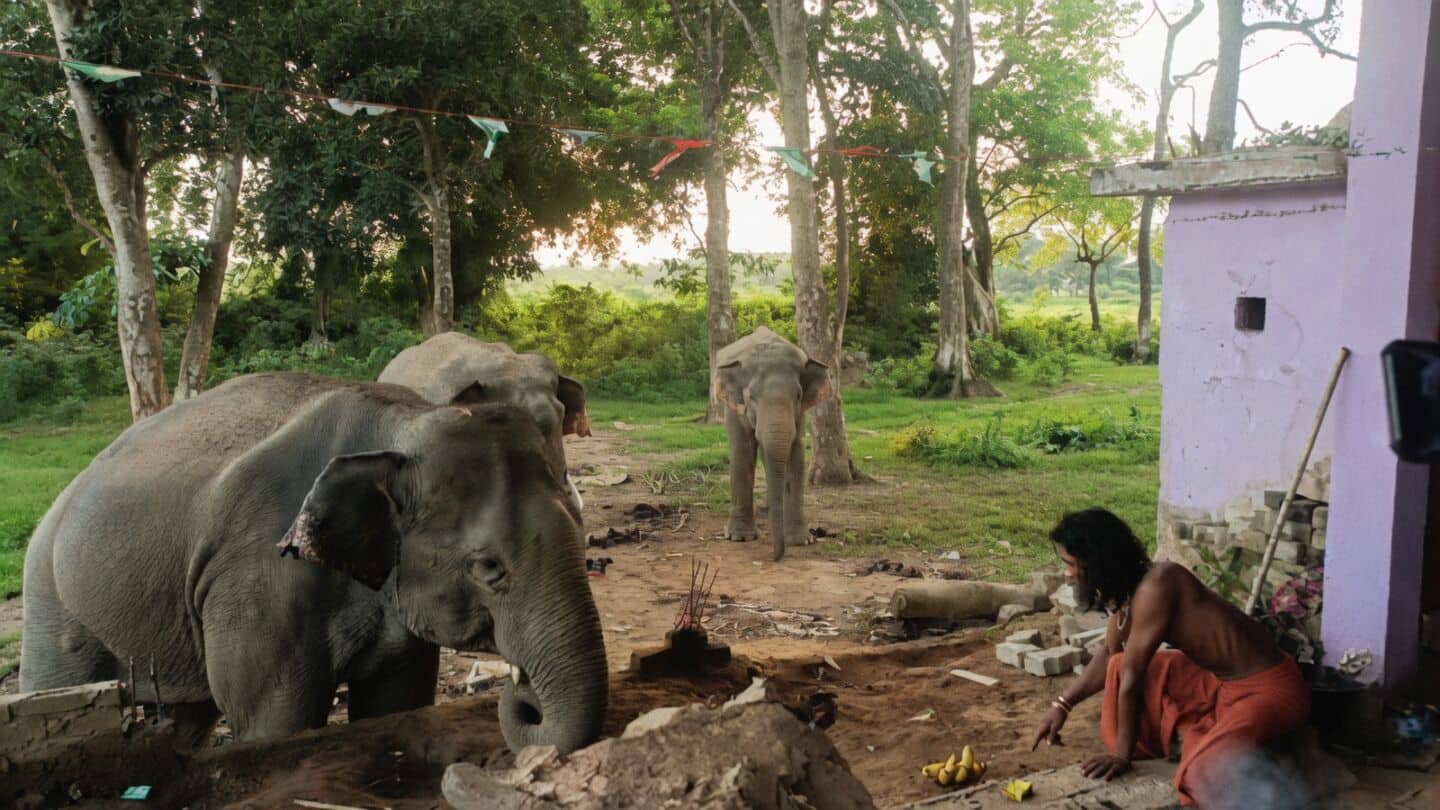 Priest Gouranga Das's viral bond with wild elephants in Assam