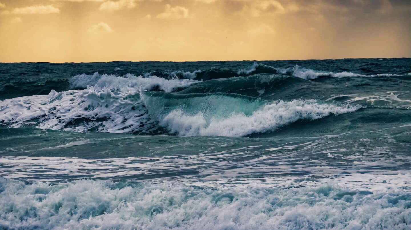 INCOIS warns marine heatwaves threaten Arabian Sea corals and fisheries