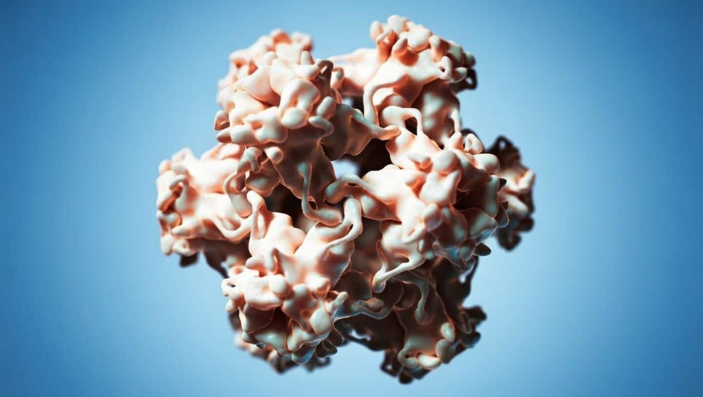 HPV vaccine slashes cervical cancer risk: study