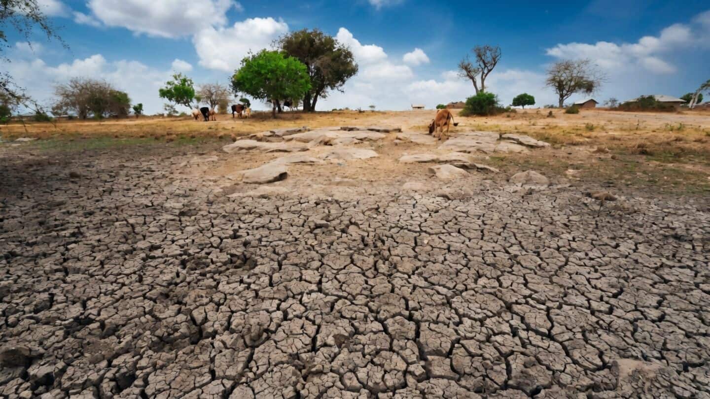 India drought worsens since late June 2026, widening regional reach