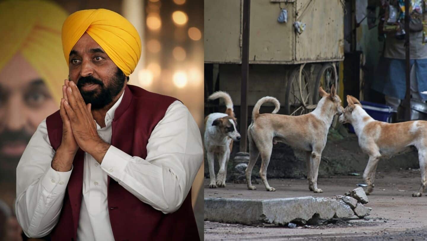 Bhagwant Mann launches statewide drive to remove dangerous stray dogs