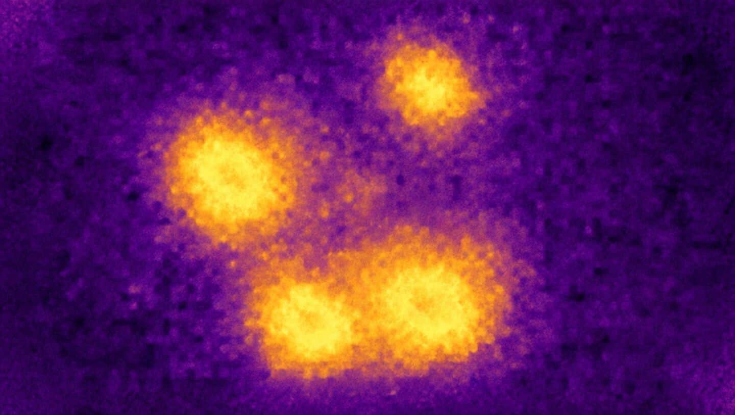Astronomers find Einstein Cross in J1453g, challenging galaxy formation theories