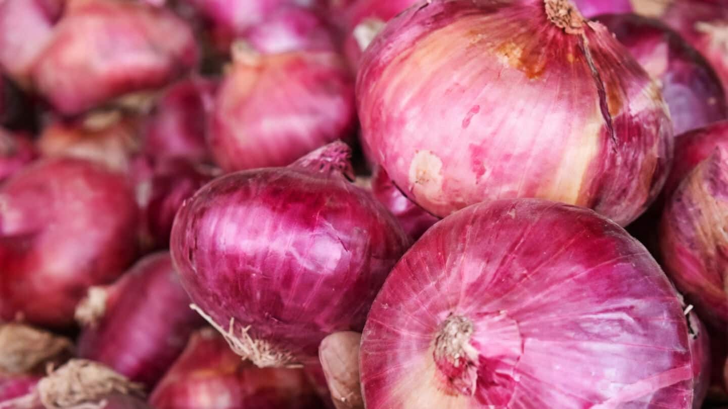 Maharashtra onion farmers demand ₹3,000 MSP, NAFED, NCCF pay ₹1,580