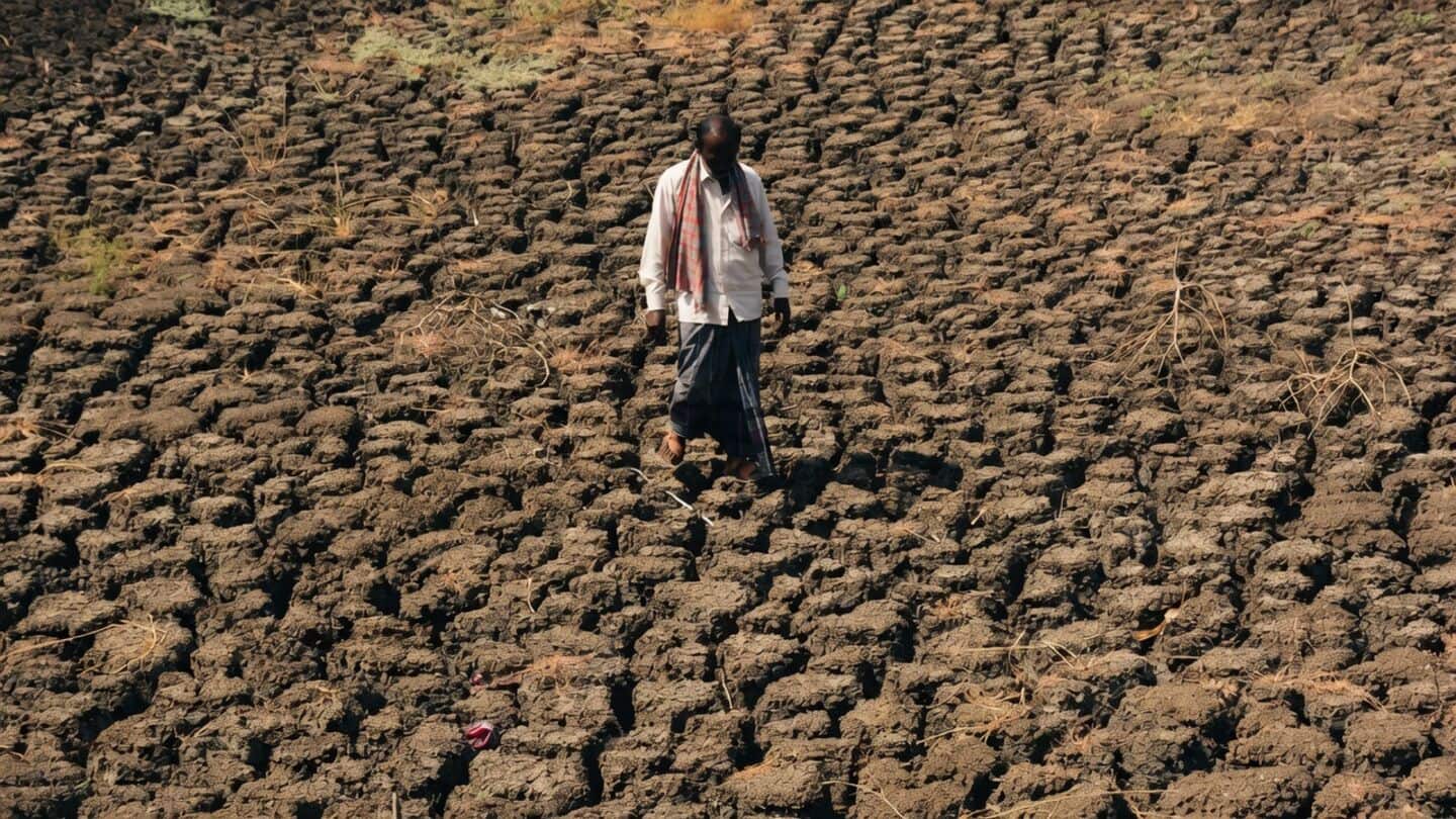 Karnataka's 2nd-lowest monsoon in 70 years leaves state officially drought-hit