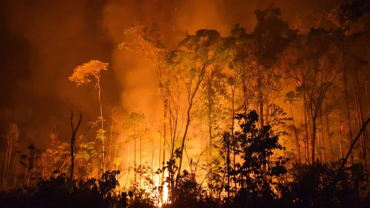 Record El Nino threat could push Amazon toward degraded savanna